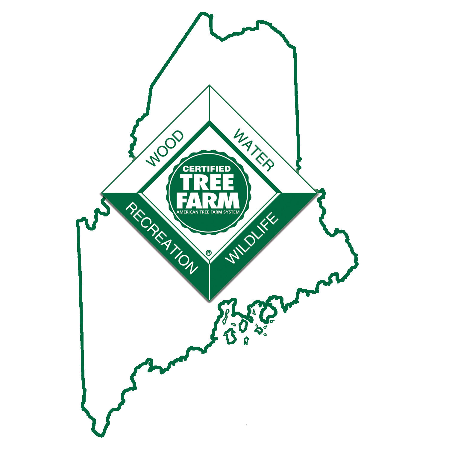 Maine Tree Farm