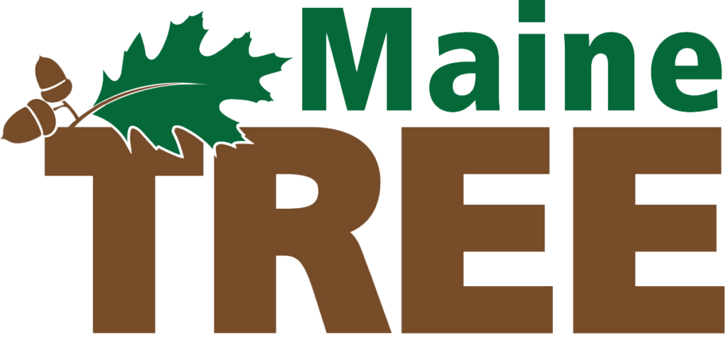 Maine Tree Farm - Maine Tree Farm